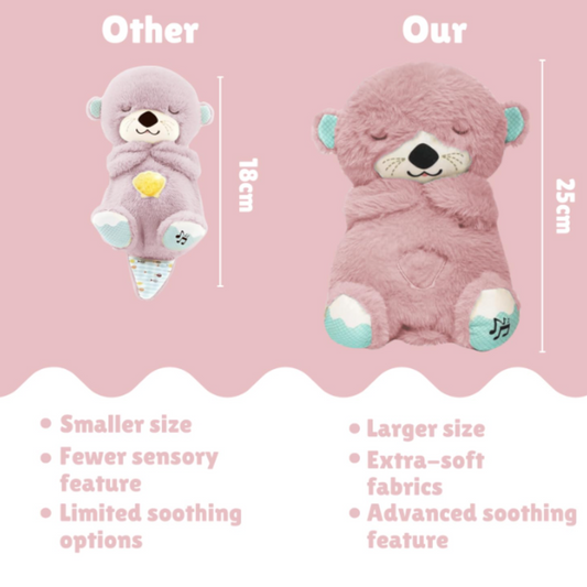Soothing Teddy Otter with Rhythmic Breathing